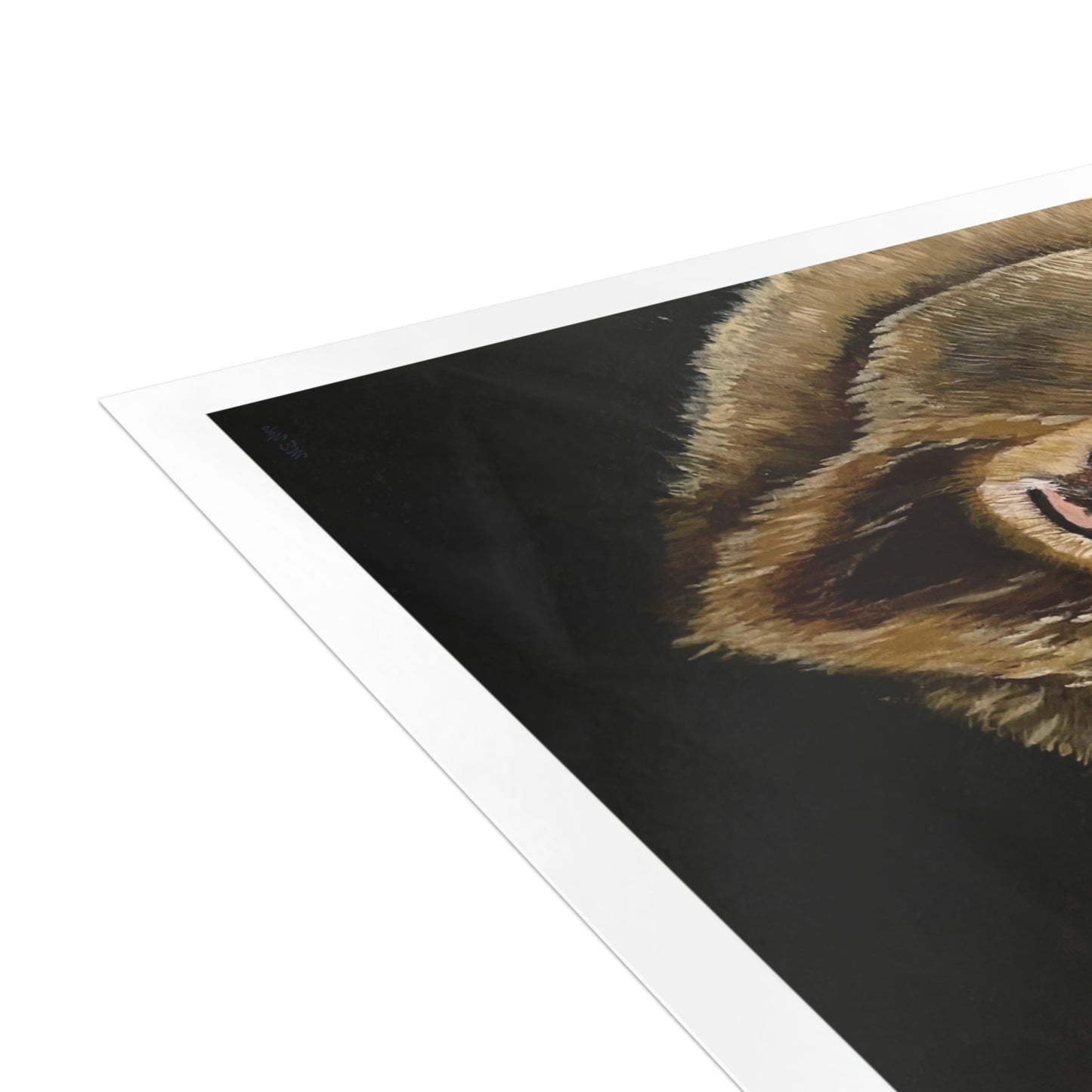 ME YOLO Grizzley Wildlife Series Greeting Card Bundles (envelopes included)