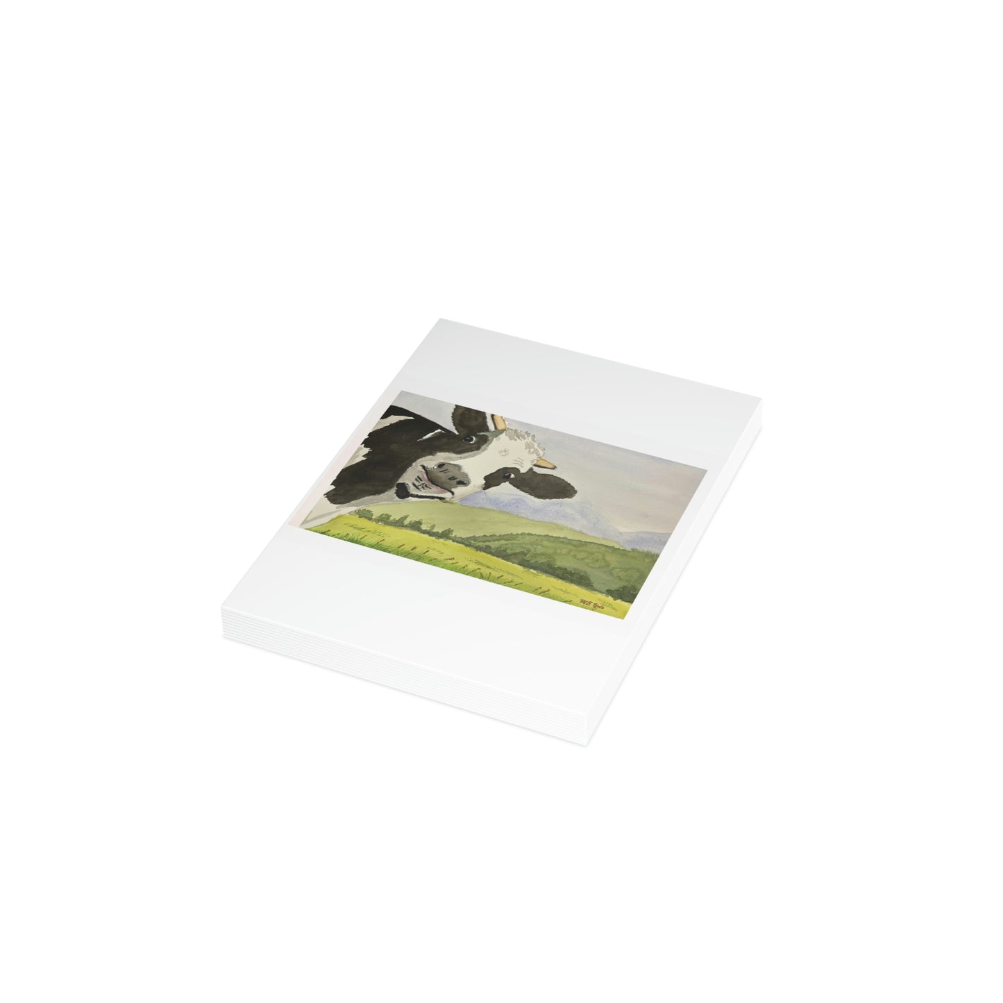 ME YOLO Vermont landscape Series Greeting Card Bundles (envelopes included)