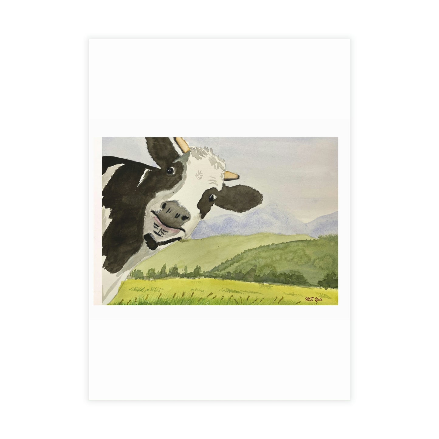 ME YOLO Vermont landscape Series Greeting Card Bundles (envelopes included)