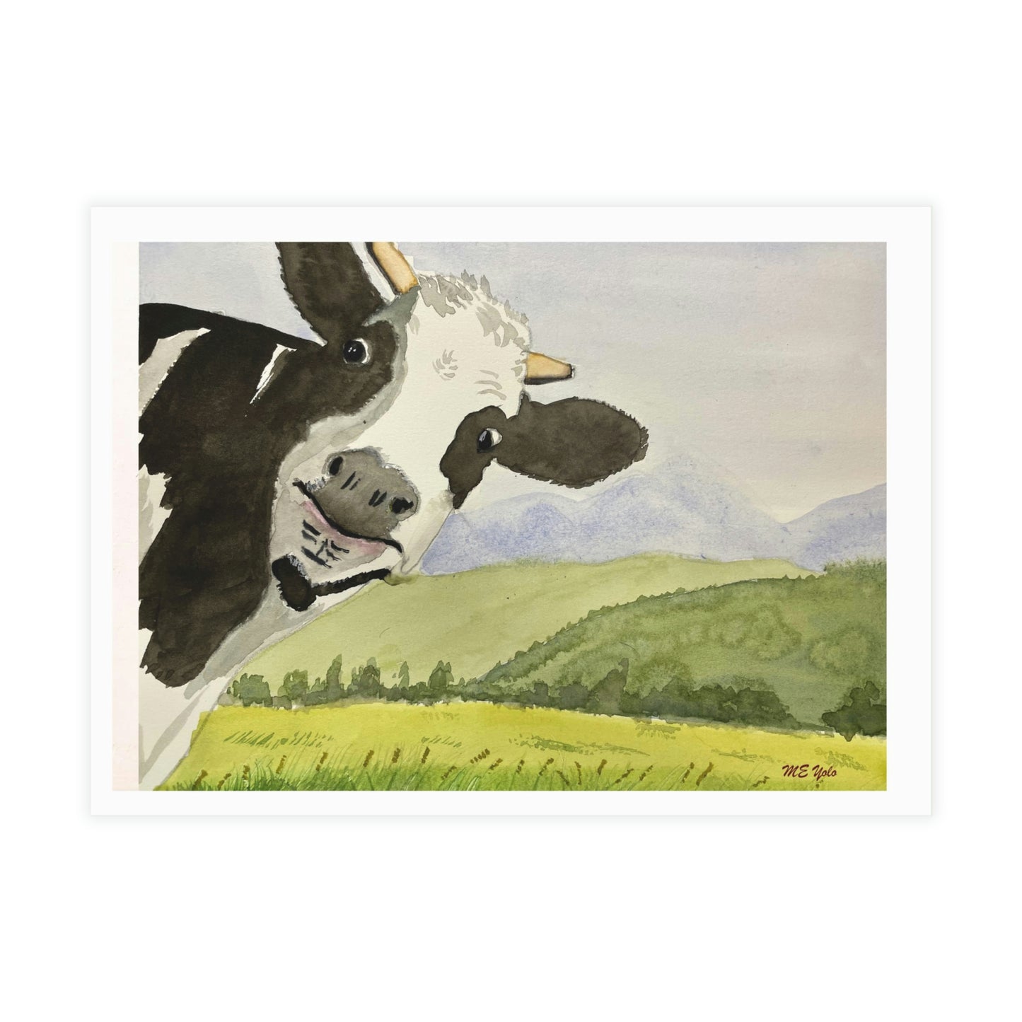 ME YOLO Vermont landscape Series Greeting Card Bundles (envelopes included)