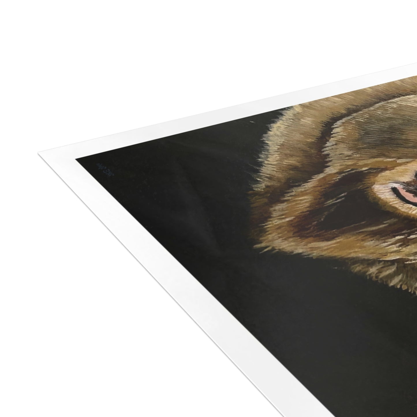 ME YOLO Grizzley Wildlife Series Greeting Card Bundles (envelopes included)